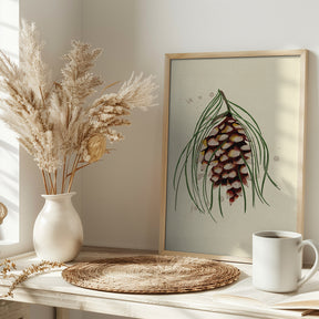 Maine White Pine Cone Copy Poster