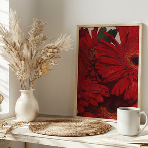 Red Gerbera Daisy Detail Poster