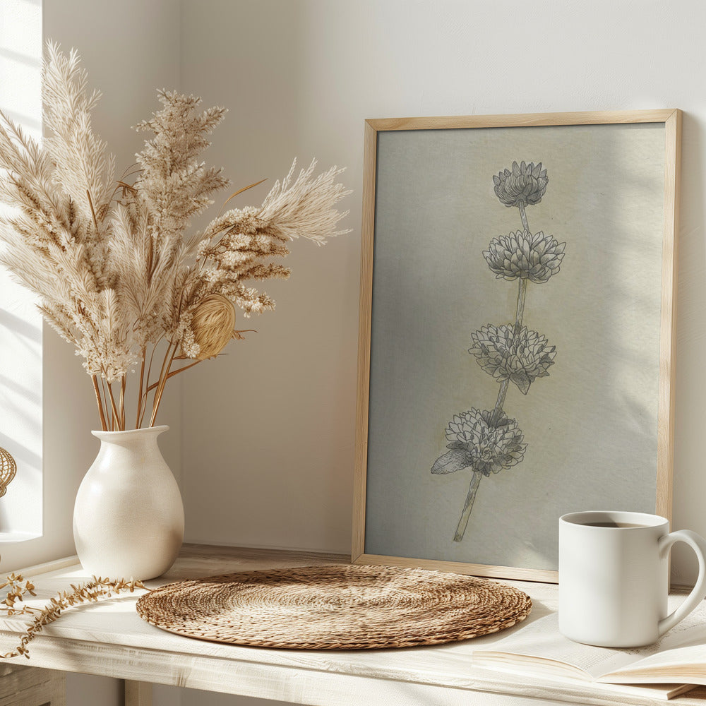 Seed Pods Poster