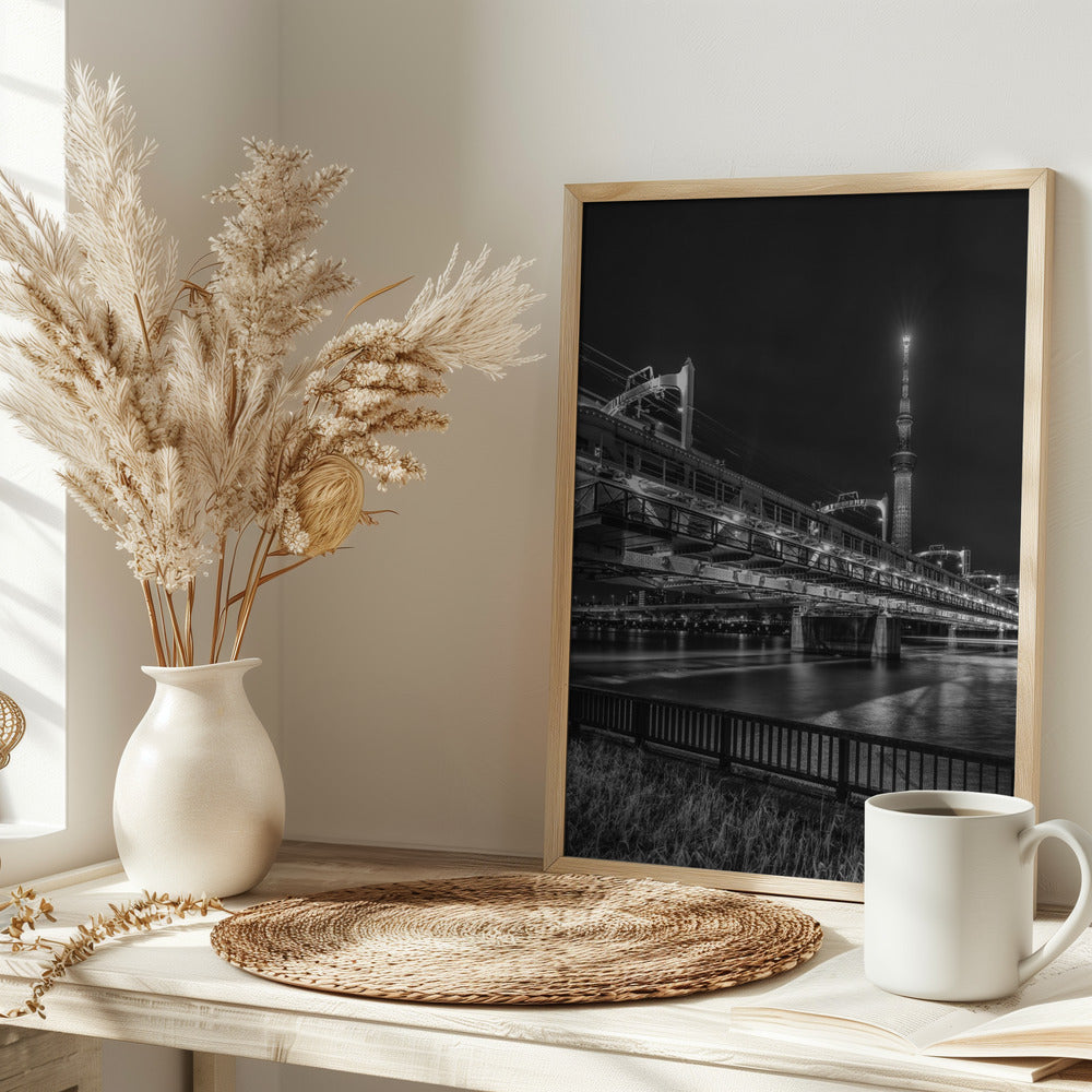 Tokyo Skytree with Sumida River Walk at night - monochrome Poster