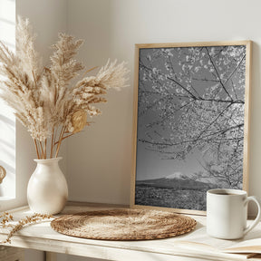 Charming view of Mount Fuji with cherry blossoms - monochrome Poster