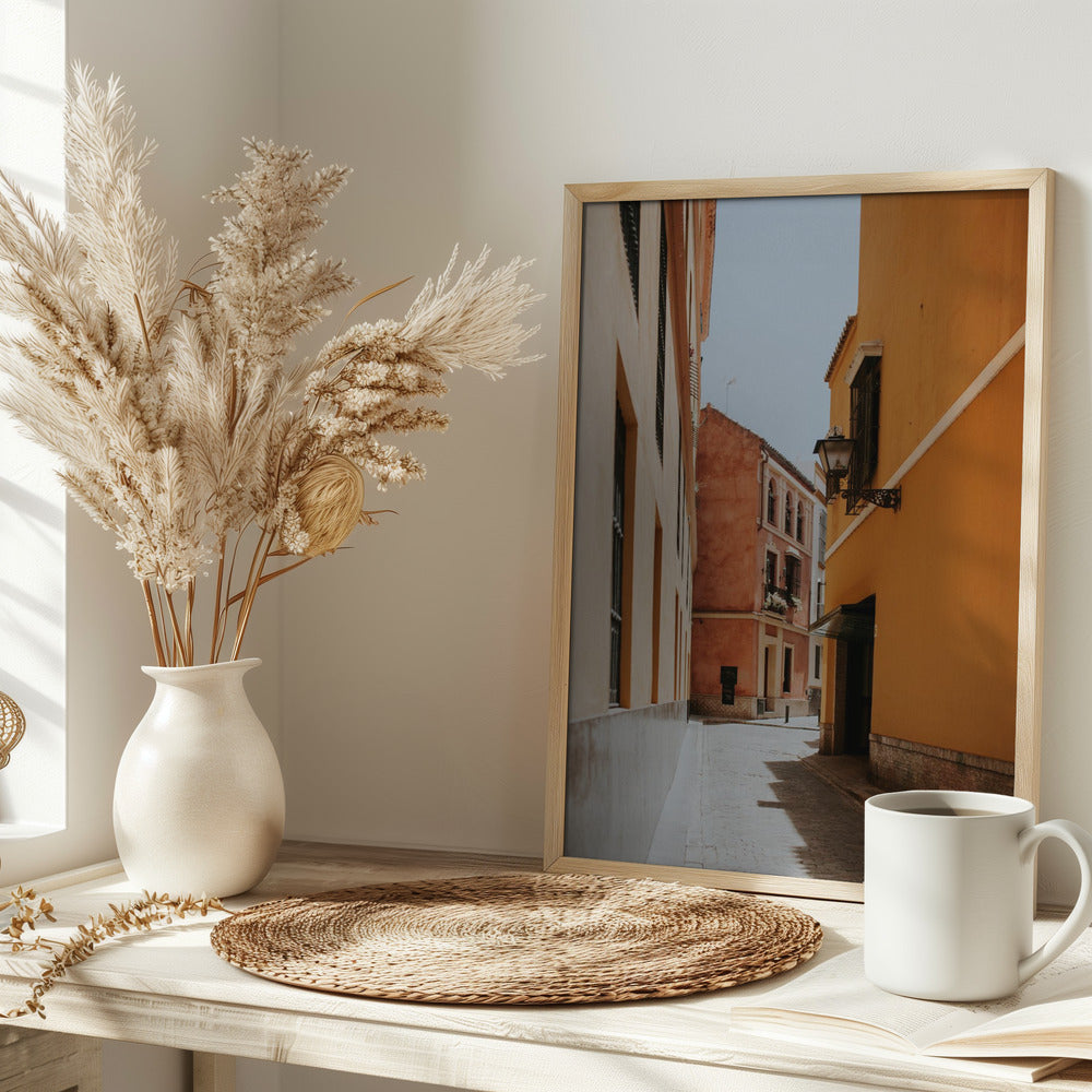 Terracotta Street Poster