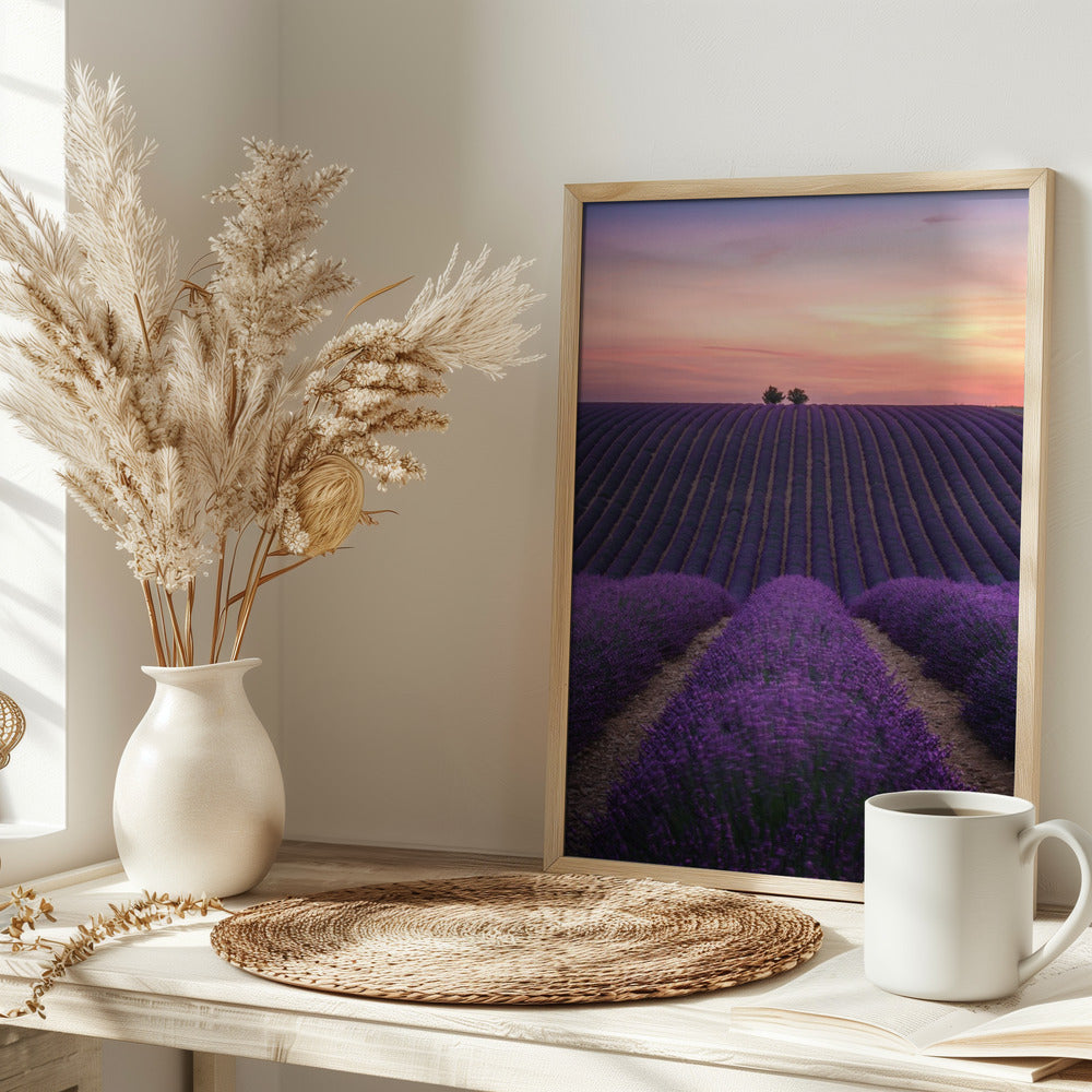 Lavender fild Poster