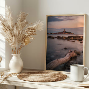 View of Rovinj Poster