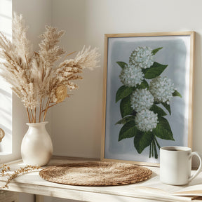 Bluma hydrangea bouquet Poster