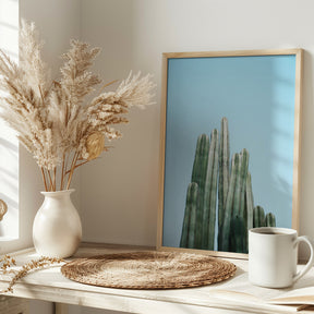 Tall Cacti Poster