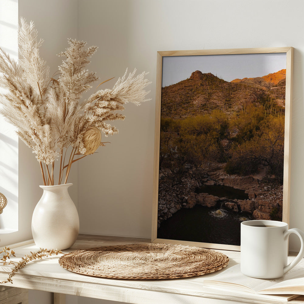 Ventana Canyon Poster