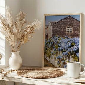 Cannon Beach Hydrangeas Poster