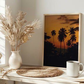 Squiggly Palm Sunset Poster