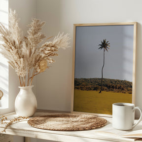 Puerto Rican Palm Tree Poster