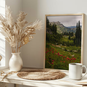 Mount Rainier Paintbrush Poster