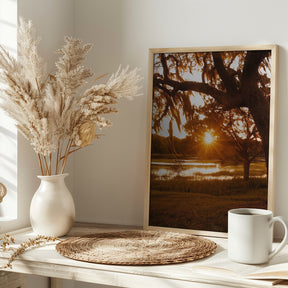 Low Country Sunset Poster