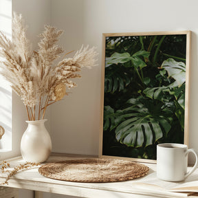 Monstera Leaves Poster