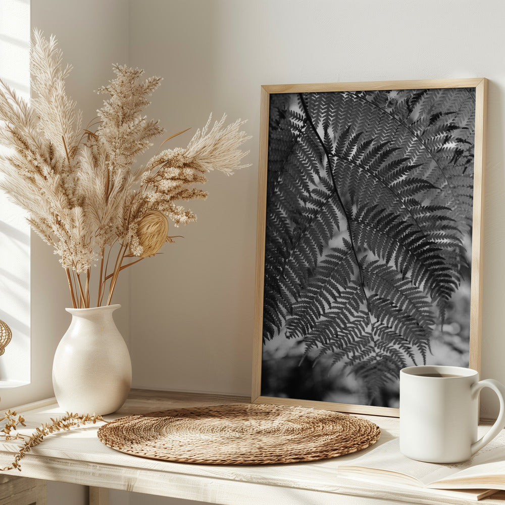 Fern in Black White Poster