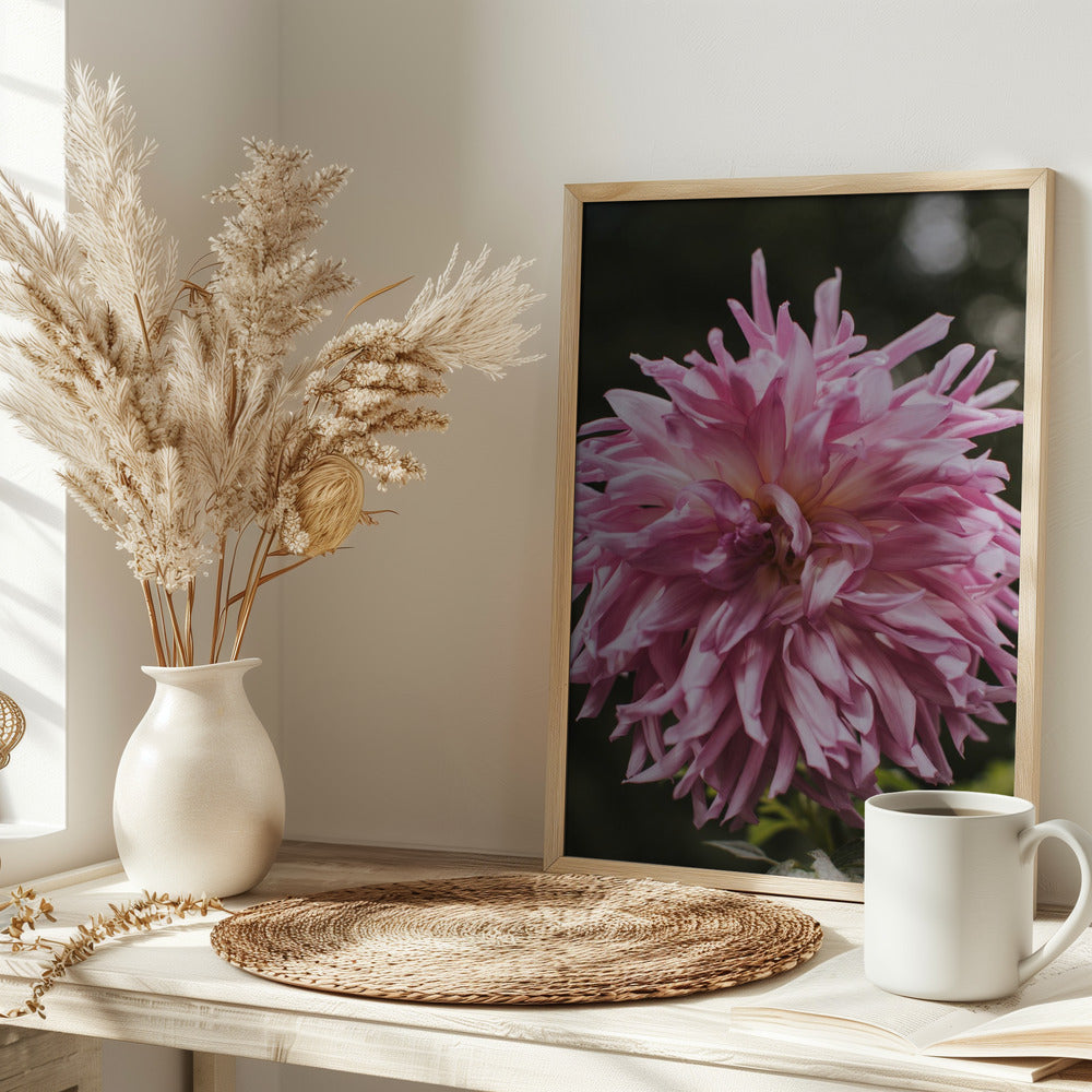 Light Pink Dhalia Poster