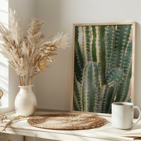 Gold &amp; Green Cacti Marrakech Poster