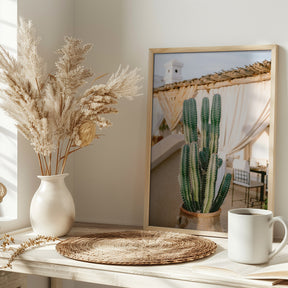 Rooftop Cactus | Morocco Travel Photography Poster