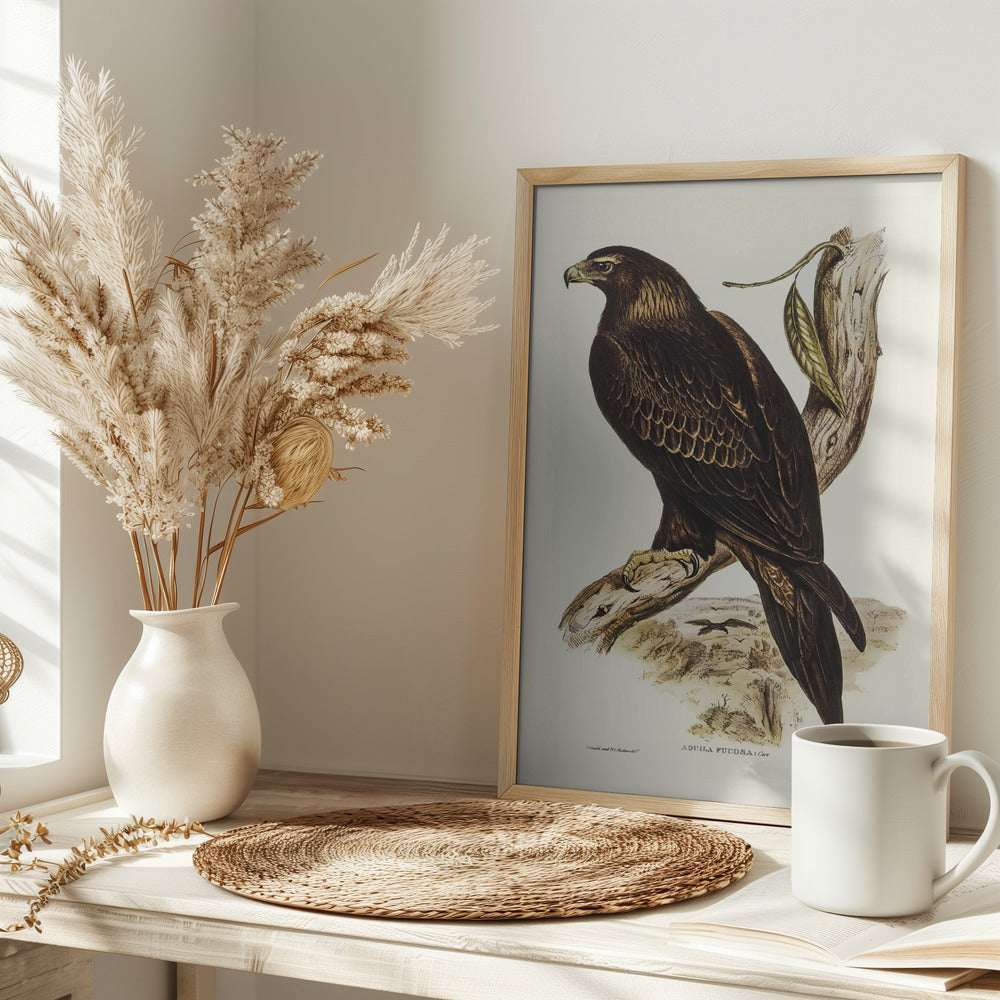 Wedge Tailed Eagle Poster