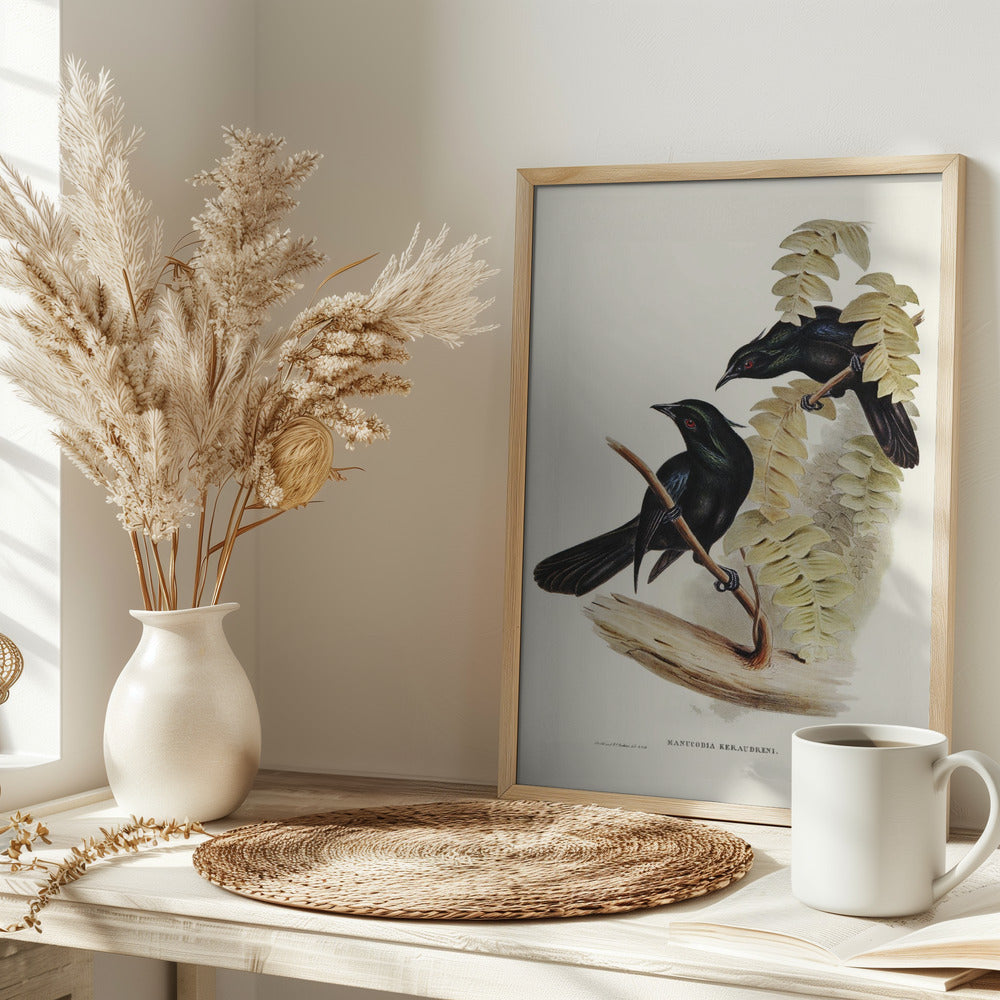 Keraudren&#039;s Crow Shrike Poster