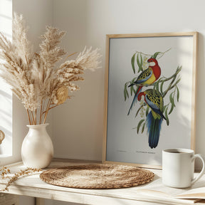 Rose Hill Parakeet Poster