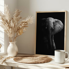 Elephant! Poster