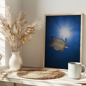 Green turtle Poster