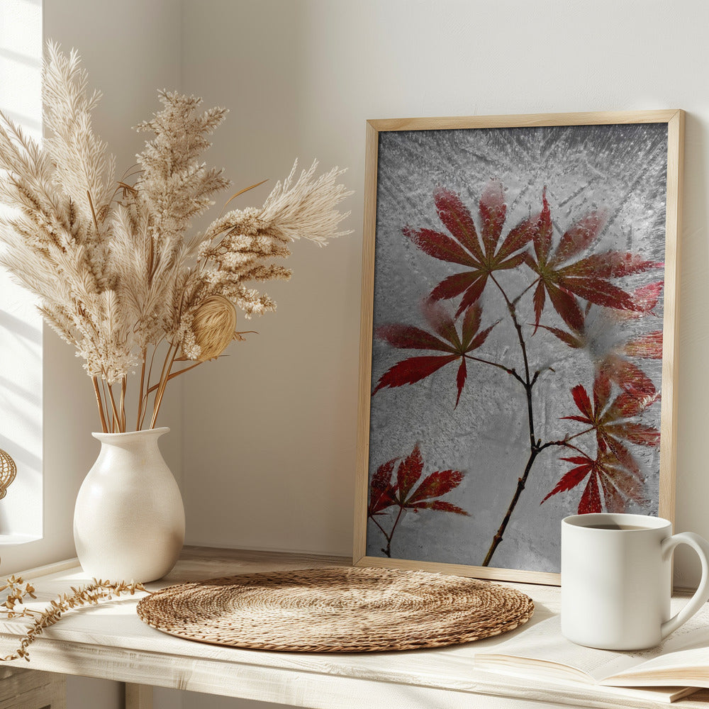 red maple Poster