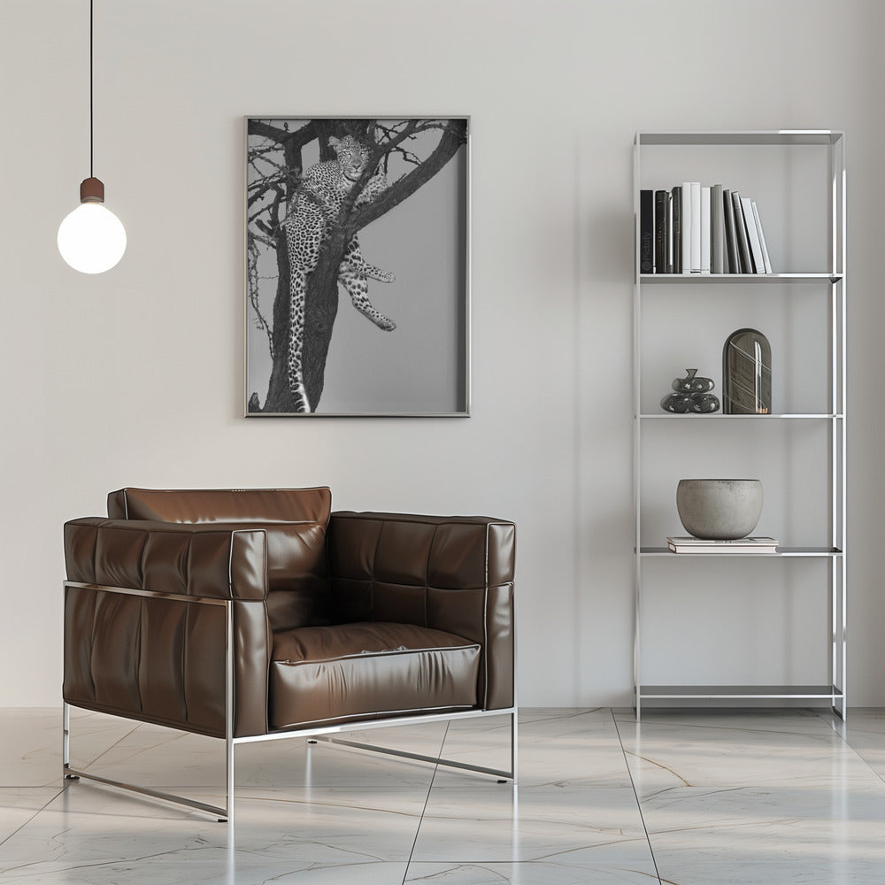 Rest On The Tree Poster