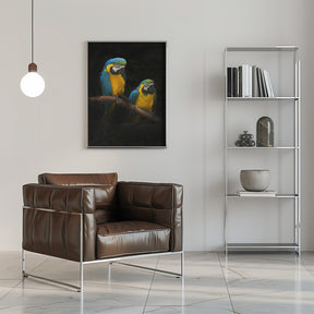 Macaw Parrots Poster