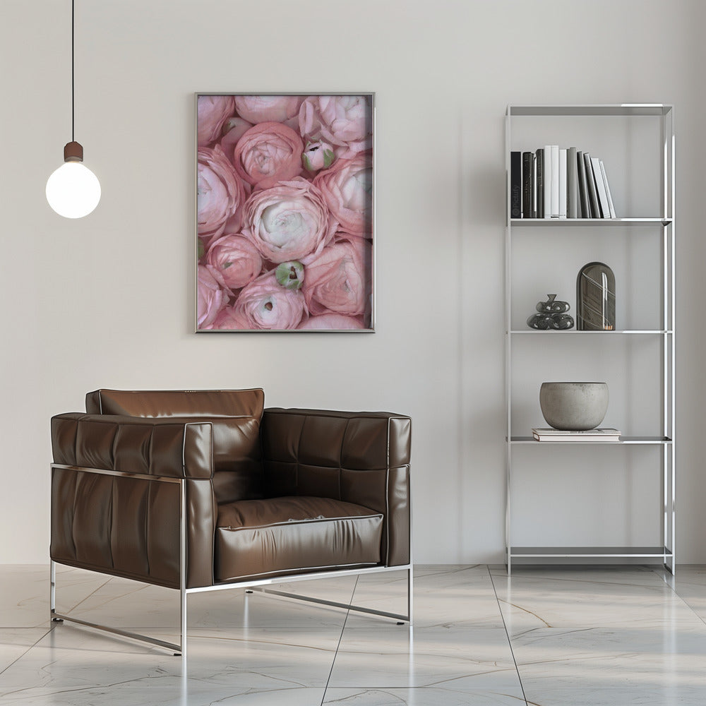 Subdued blush ranunculus Poster