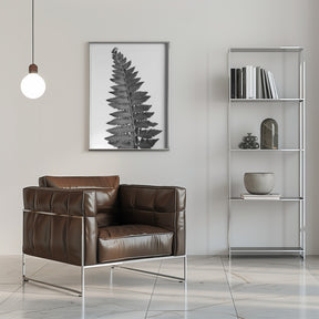 Gray fern leaf Poster