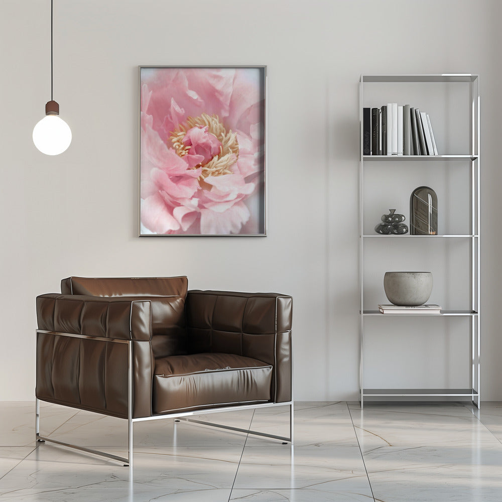 Blush peony I Poster