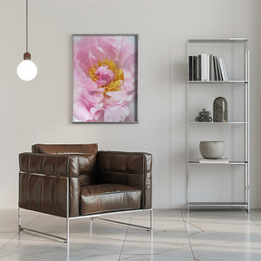 Pink peony I Poster