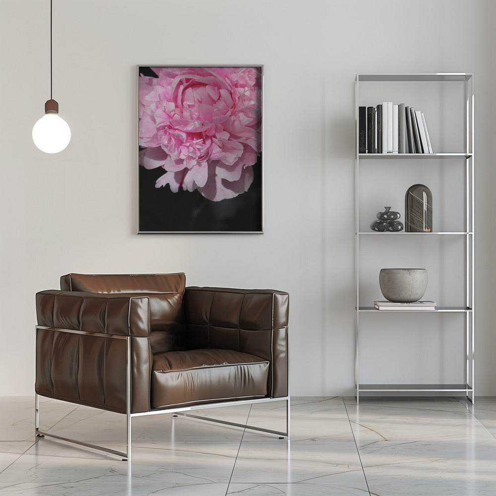 Pink peony V Poster