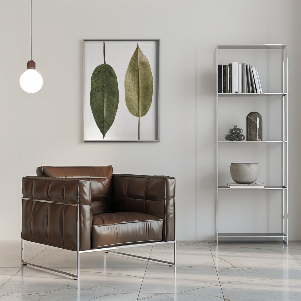 Leaf Study 05 Poster