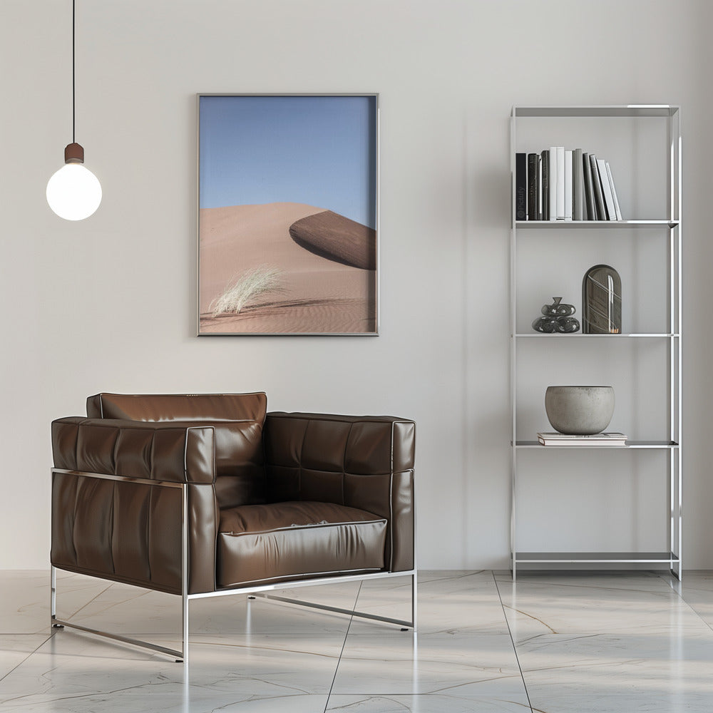 Namib Two Poster