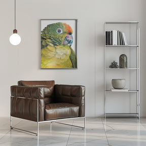 Parrot Poster