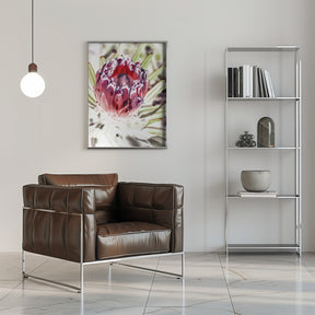 Wild Protea Poster