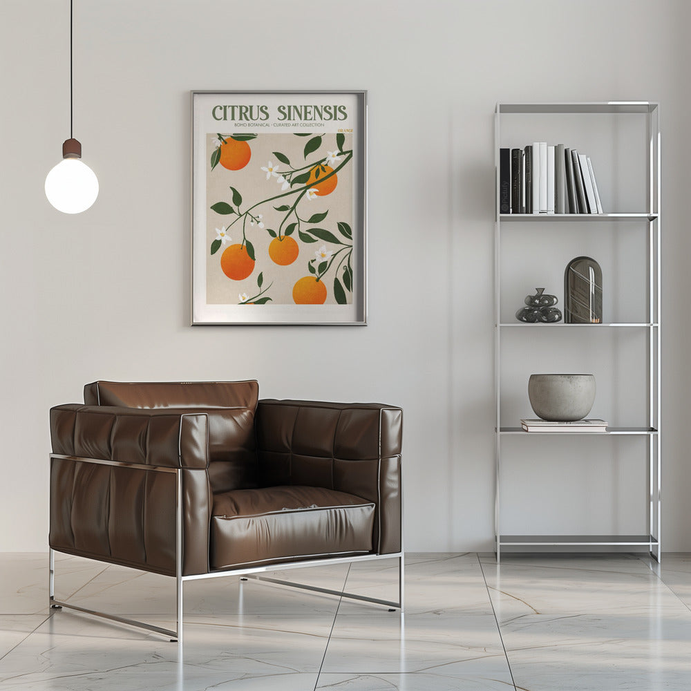 Citrus Sinensis - Orange Poster