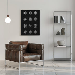 Twelve geometric snowflakes in black Poster