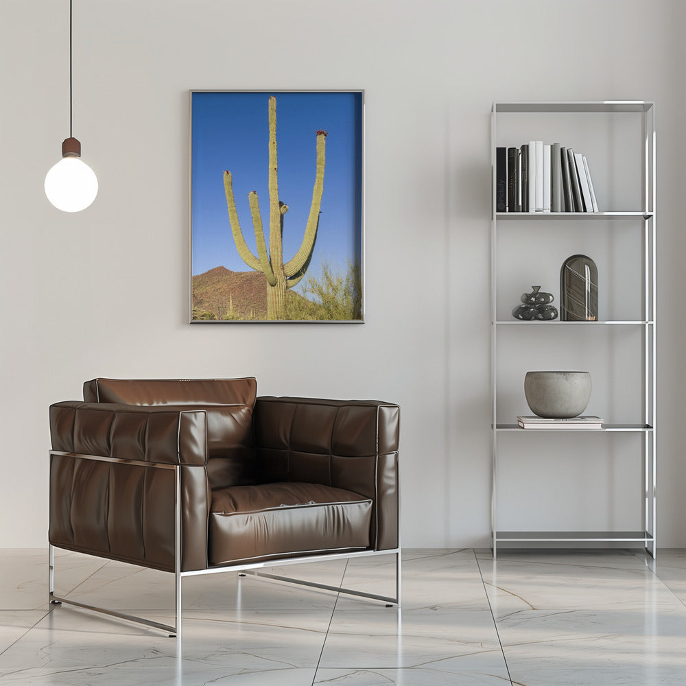 SAGUARO NATIONAL PARK Giant Saguaro Poster