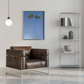 Idyllic Palm trees Poster