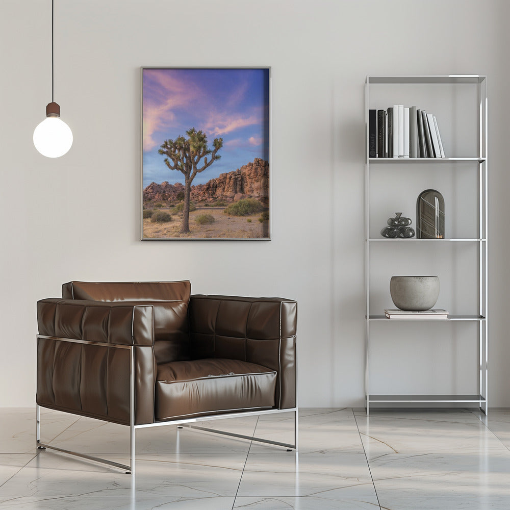 Joshua Tree Evening Atmosphere Poster