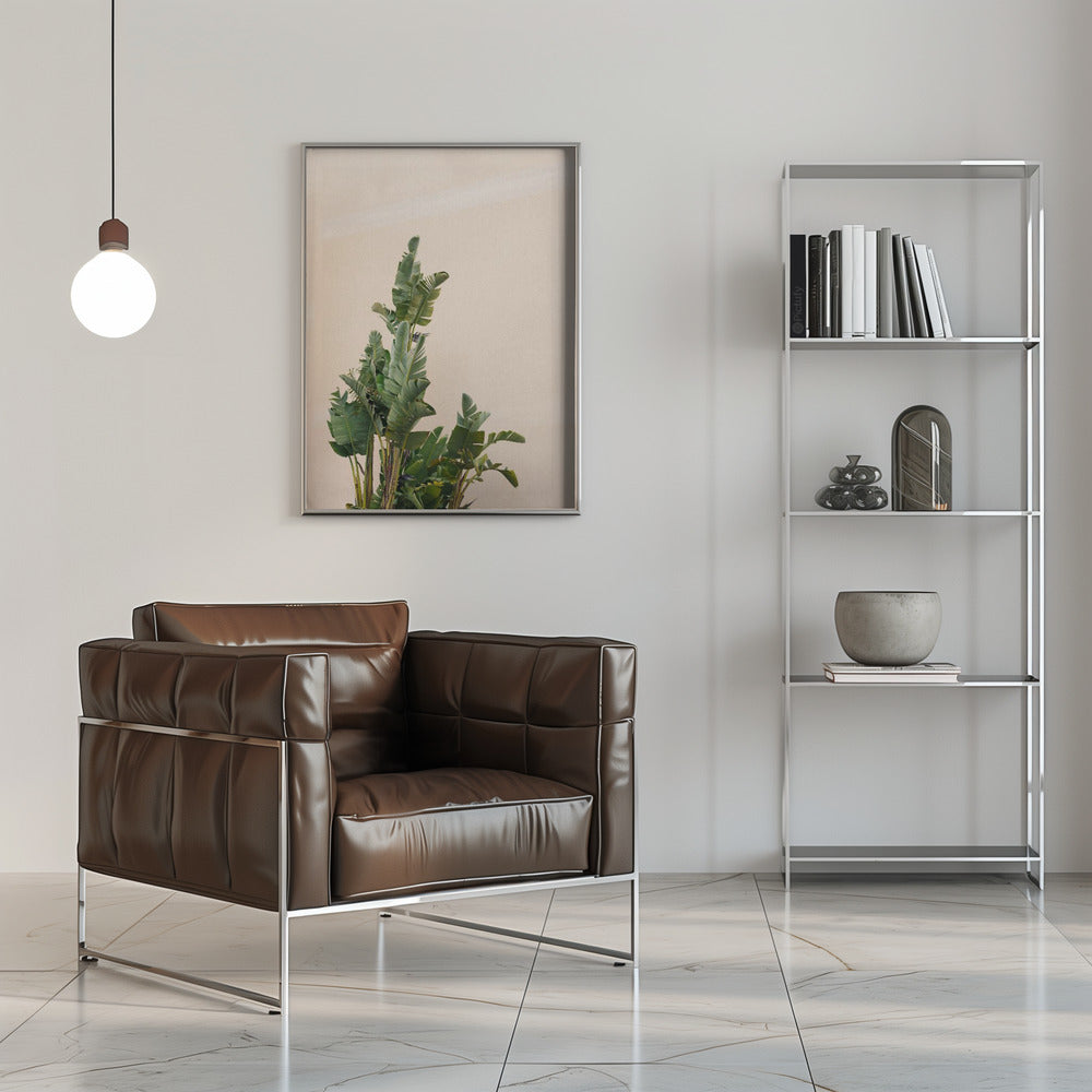 Botanical Cannes Poster