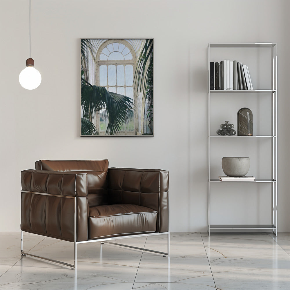 Palm House Windows Poster