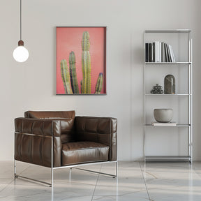 Pretty Pink Cactus Marrakech Poster