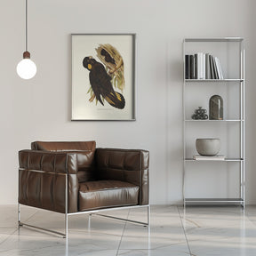 Yellow Eared Black Cockatoo Poster