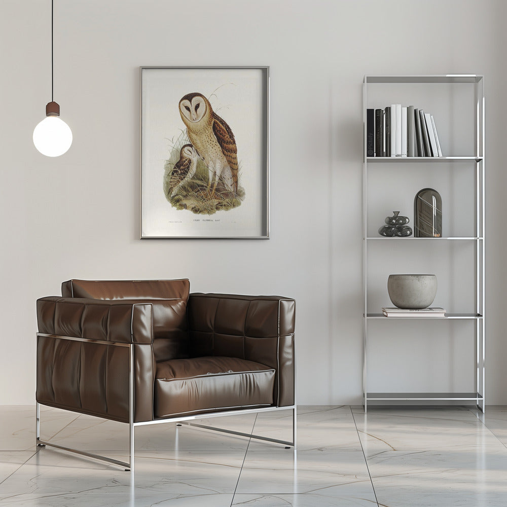 Grass Owl Poster