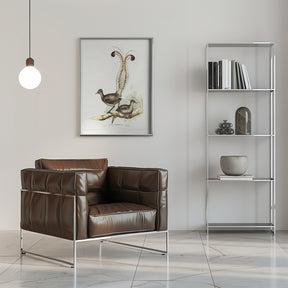 Lyre Bird Poster