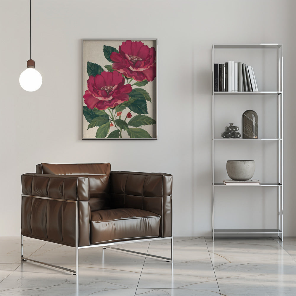 Rose of Providence Poster